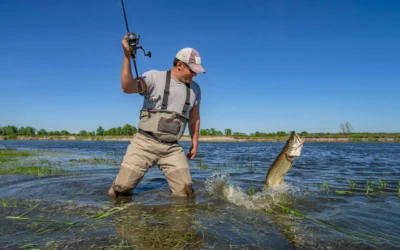 Concours de pêche !